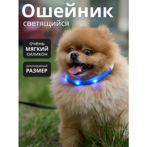 Светящийся светодиодный ошейник для собак, с USB зарядкой