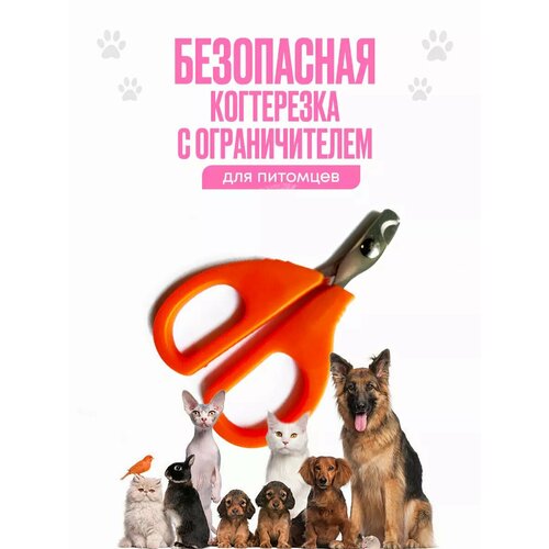 Когтерез ALISA, металл/пластик, для кошек, собак, грызунов, оранжевый