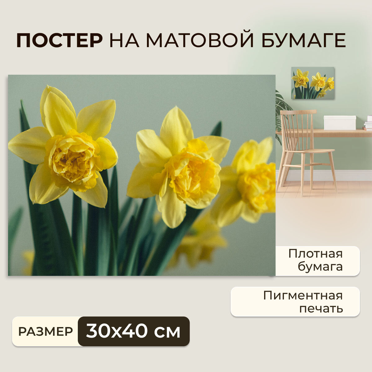 Гравюра Постер на бумаге / Narcissus / Нарцисс