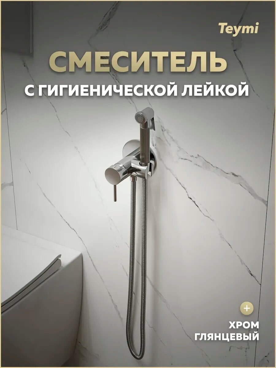 Смеситель с гигиеническим душем хром Teymi Lina T10229