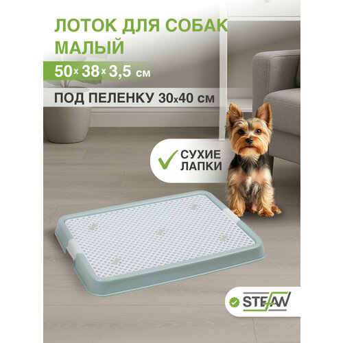 Туалет-лоток с сеткой для собак STEFAN (S) 50х38х3,5см, бело-голубой, 1305NGW