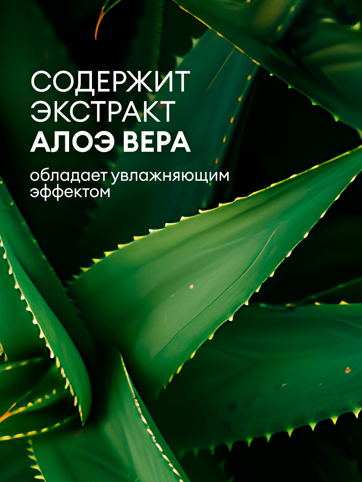 Шампунь-гель Grass Room, для волос и душа, с алоэ — фото 1