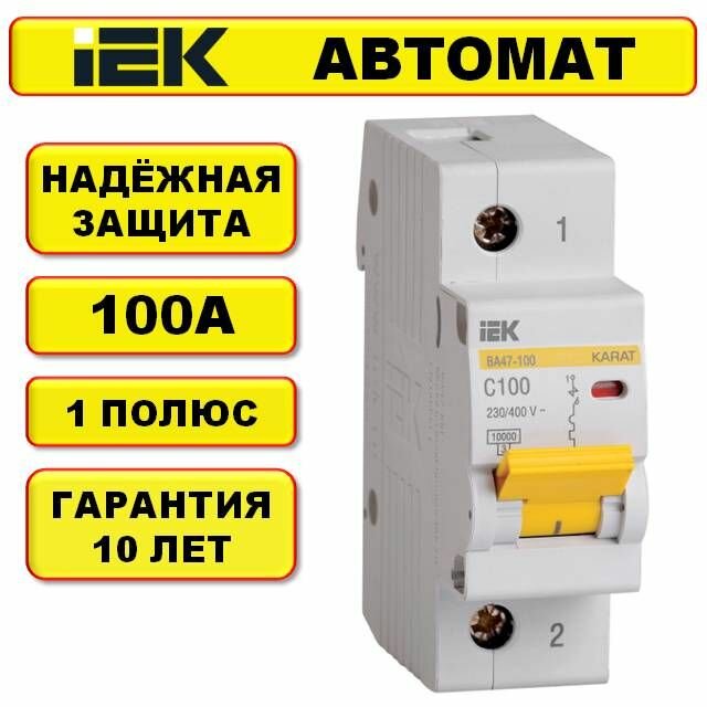 Автоматический выключатель ВА47-100 1Р 100А 10кА С IEK / Автомат 100А (однополюсный) ИЕК