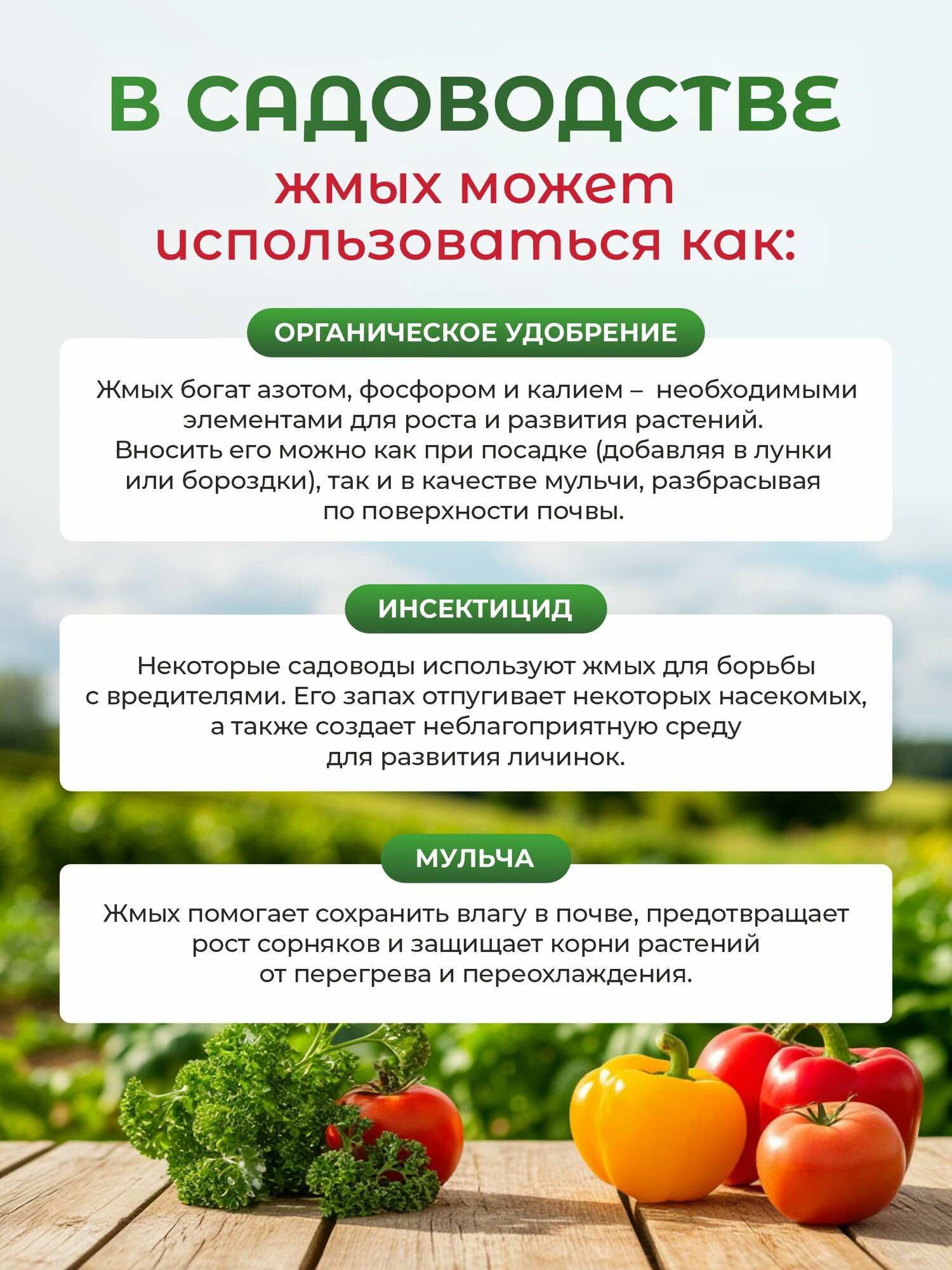 Жмых подсолнечника для корма кур несушек, куриц, птиц, домашнего скота / Макуха для рыбалки — фото 1