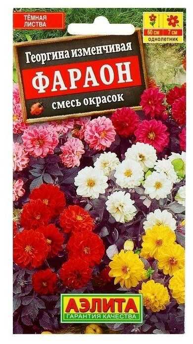 Агрофирма аэлита Семена цветов Георгина 