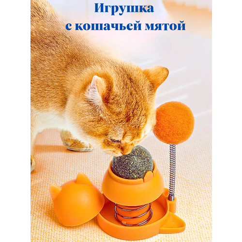 Игрушки для кошки, котят с кошачьей мятой, дразнилка на пружинке