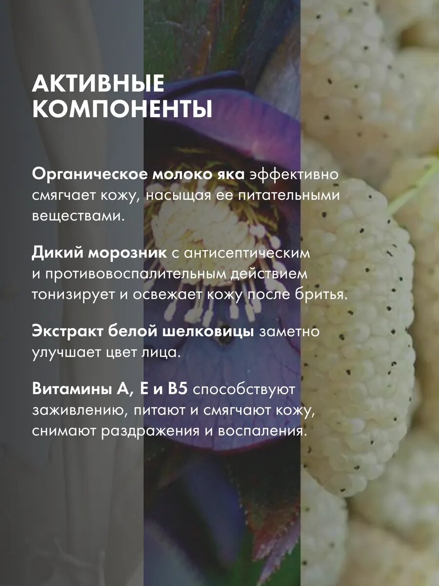 Картинки Natura Siberica Гель после бритья "Як и Йети", мужской, 150 мл
