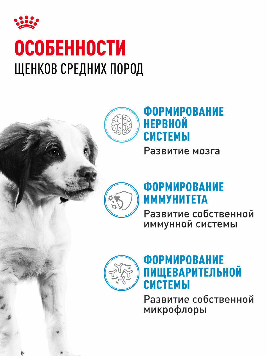 Сухой корм для щенков Royal Canin Medium Puppy для средних пород, 3 кг — фото 1