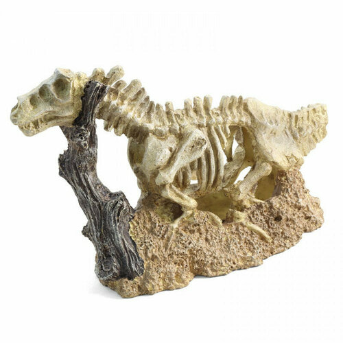 Грот Скелет динозавра , 2 шт.