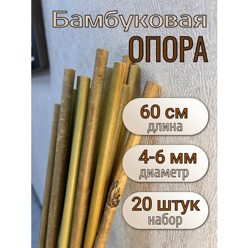 Опора бамбуковая для растений и цветов 60 см, 4/6 мм, 20шт. Садовые колышки.