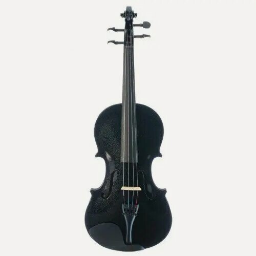 Изображение товара Скрипка Fabio SF3900 BK
