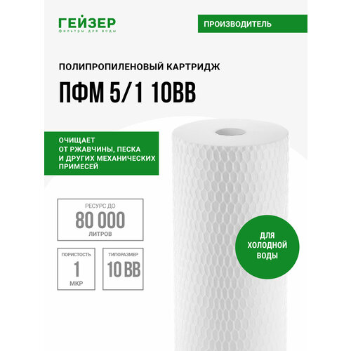 фото Гейзер картридж пфм 5/1 вв10" 28222, 1 уп, 1 шт.