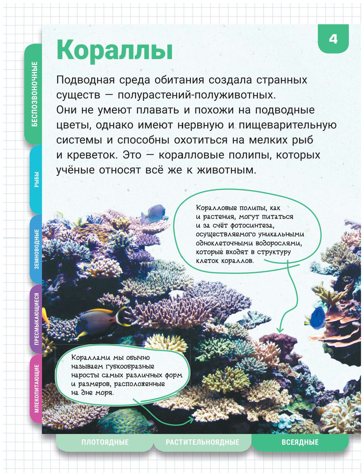Подводный мир (Спектор Анна Артуровна, Ликсо Владимир Владимирович, Вайткене Любовь Дмитриевна, Закотина Мария Викторовна, Прудник Анастасия Александровна) - фото №5