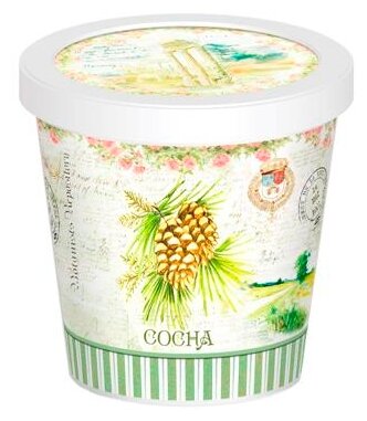 фото Набор для выращивания Rostok Visa Сосна