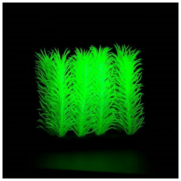 Растение аквариумное Пижон Аква искусственное, светящееся, 5 см, зеленое - фотография № 8