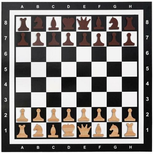 Демонстрационные шахматы на магнитной доске, 32 шт, поле 60 x 60 см