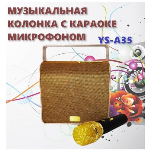 Музыкальная колонка с микрофоном новинка Аудио караоке система переносная Беспроводной микрофон 221600₽