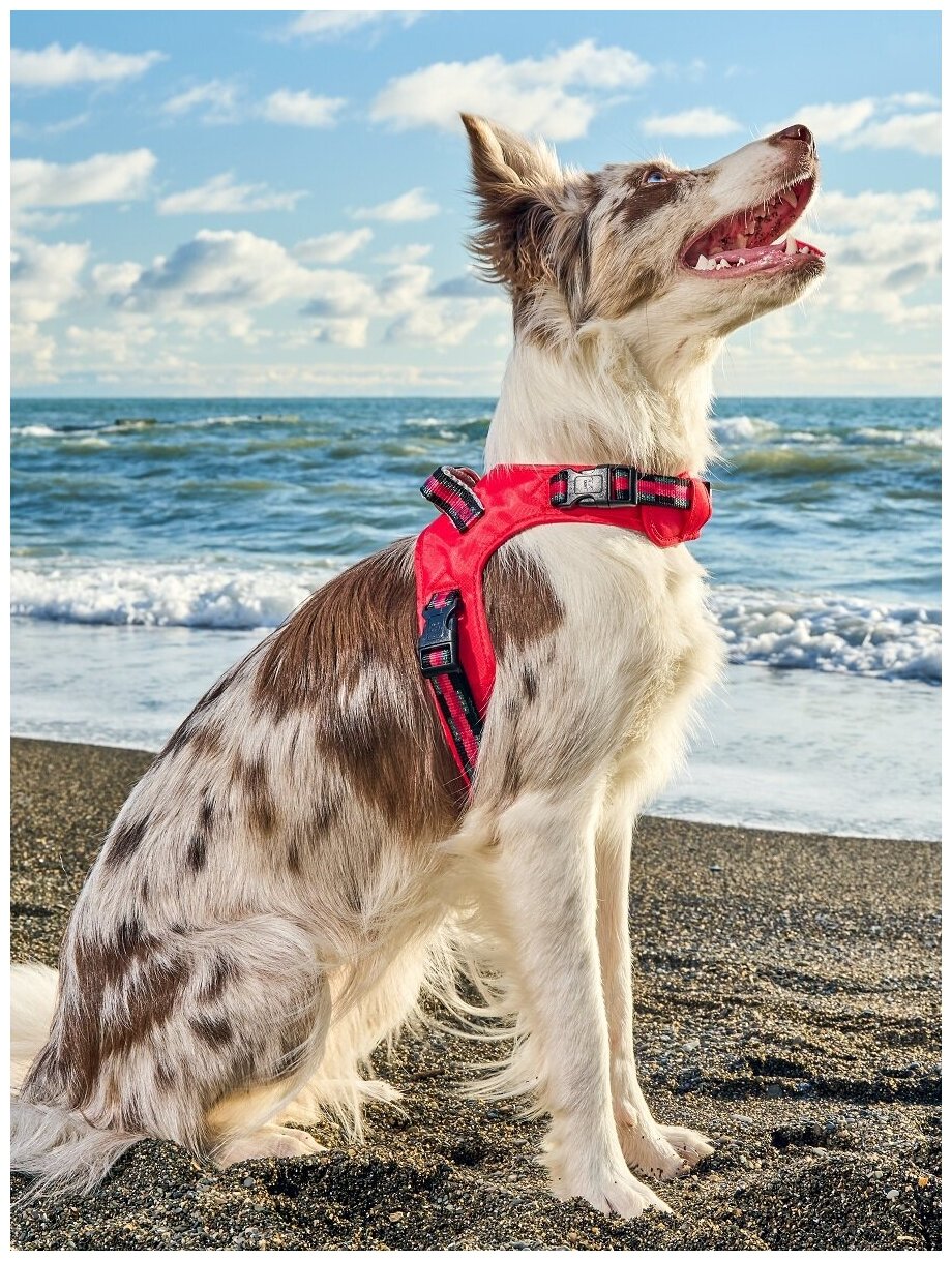 Шлейка для собак Japan Premium Pet жилетка с балансером и функцией вентиляции, размер S, красный