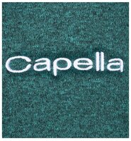 Автокресло группа 2/3 (15-36 кг) Capella S2311 I-FIX black