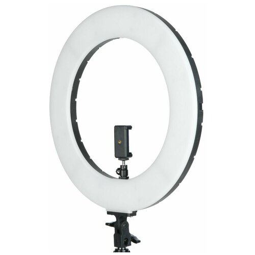 Кольцевая лампа LED 20см 71400₽