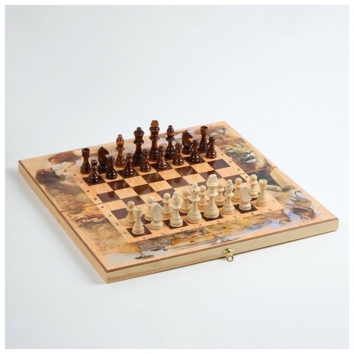 Настольная игра 3 в 1 "Сафари": шахматы, шашки, нарды, 50 х 50 см