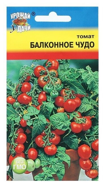 Семена Томат "Балконное чудо", 0,1 г