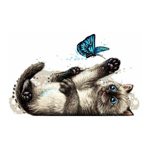 Холст с красками Рисование по номерам. Котик с бабочкой, 40х50 см