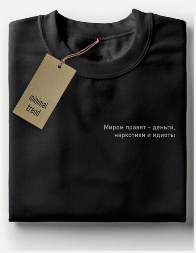 Изображение товара Мужская футболка черная, minimal trend (фразы, надписи, минимализм, миром правят деньги и идиоты) - 134