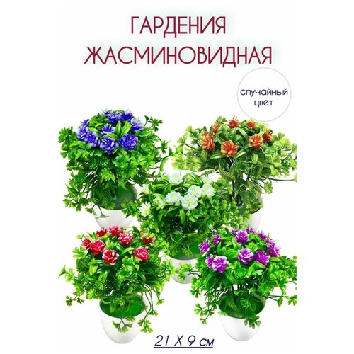 Искусственные цветы, декоративный букет Гардения жасминовидная, разноцветная, пластик, 21х9 см