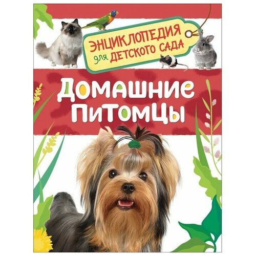 Энциклопедия для детского сада «Домашние питомцы» калугина леся домашние питомцы энциклопедия