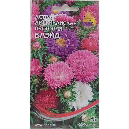 Астра Американская кустовая Блэйд смесь, 100 семян семена цветов астра американская кустовая смесь 4 упаковки 2 подарка