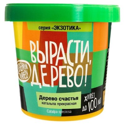 Nabor Dlya Vyrashivaniya Vyrasti Derevo Kivi Zimostojkoe Kupit Po Vygodnoj Cene Na Yandeks Markete