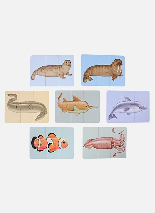 Морепутаница — фото 1