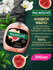 Жидкое мыло для рук Palmolive Роскошь Масел Инжир и Орхидея, 300 ...