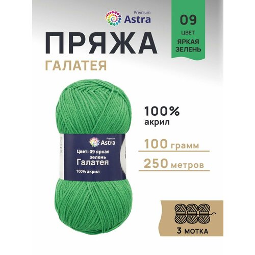 фото Пряжа для вязания astra premium 'галатея' 100гр. 250м (100% акрил) (09 яркая зелень), 3 мотка