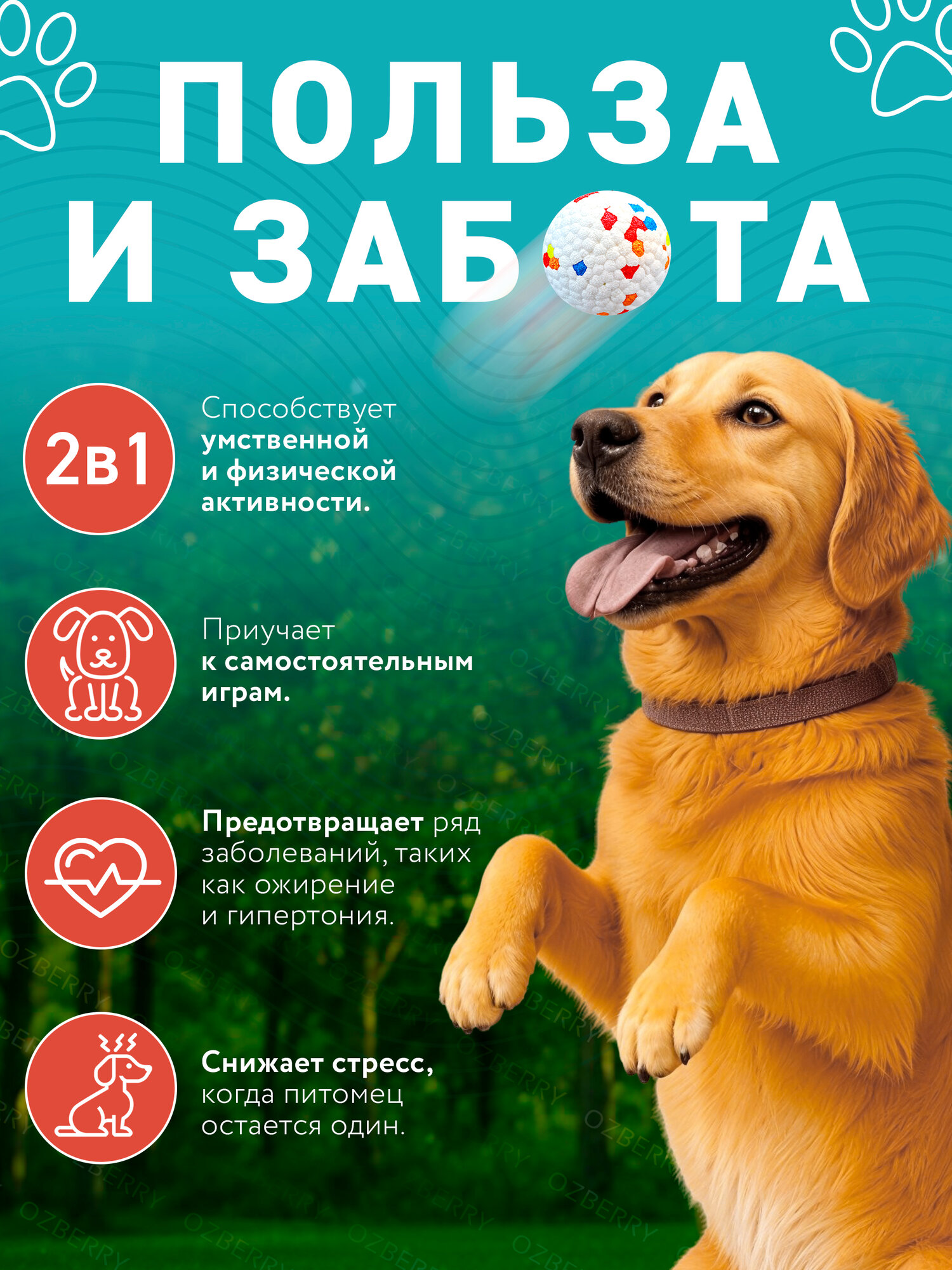 Интерактивная катапульта для собак OZBERRY с 3 мячами, автоматический лончер, дальность 3–9 м, бело-зелёная — фото 1