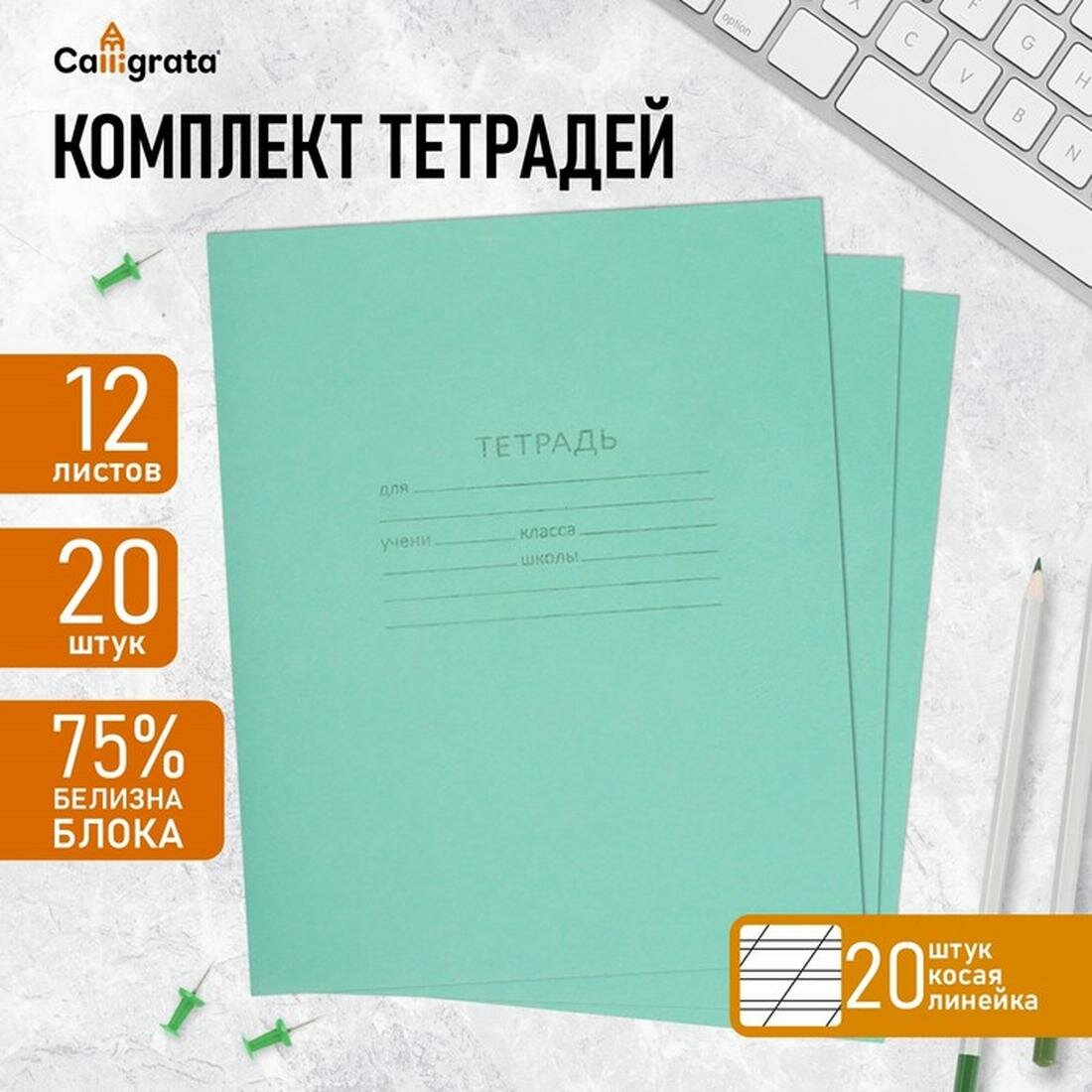 Набор тетрадей 12 листов в косую линейку «Зелёная обложка», белизна 75%, серые листы, 20 шт.