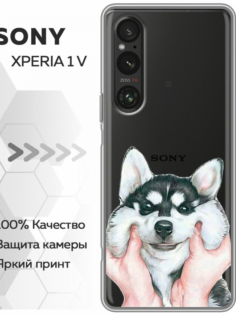 Чехол для Sony Xperia 1 V с принтом Хаски (Сони Иксперия 1 5)