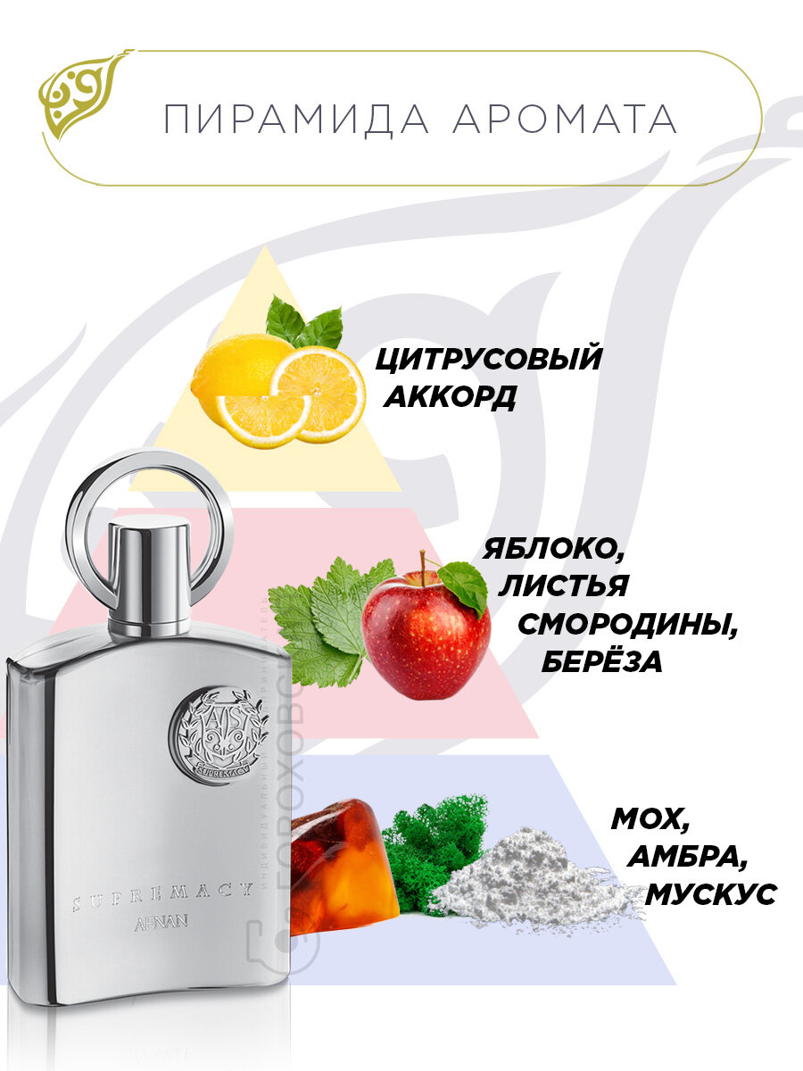 Парфюмерная вода для мужчин AFNAN Supremacy (Silver), фужерный аромат, 150 мл. — фото 1
