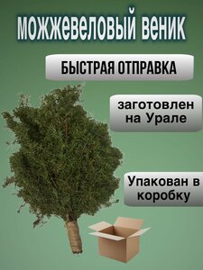 Основная фотография от вендора