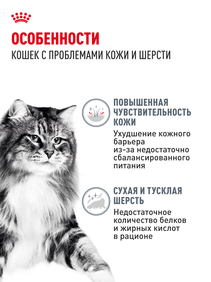 Корма Для Кошек Xiaomi Влажный корм для кошек Royal Canin Hair & Skin Care для здоровья кожи и шерсти, кусочки в соусе, 28 шт по 85 г