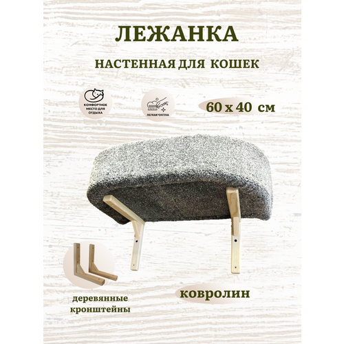 Лежанка для кошек, лежанка для собак, Ван Кот, настенная, с бортиком, ковролин, 60х40 см