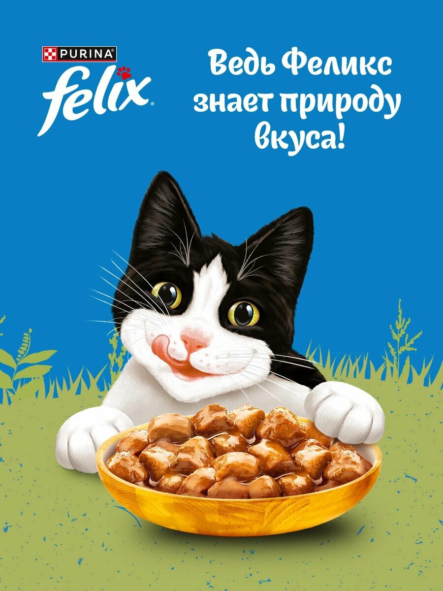Влажный корм Felix Природа вкуса пауч для кошек (кусочки в соусе) Курица, 75 г х 26 шт. — фото 1