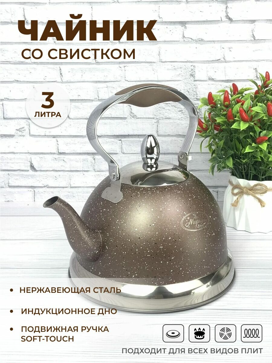 Чайник 3 литра из нержавеющей стали Мерали для газовой электрической и индукционной плиты