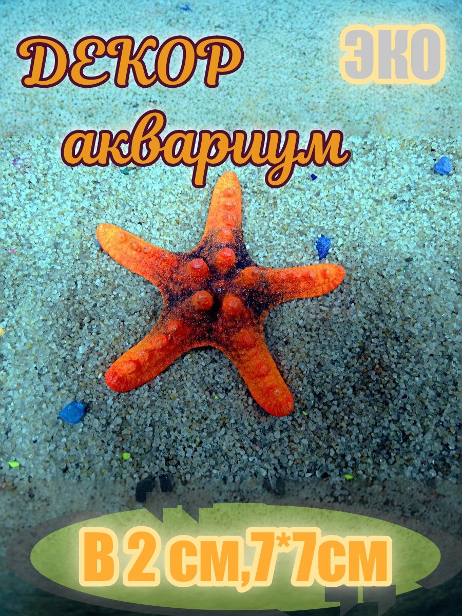 Морская звезда КОРАЛЛ ЭКО 
