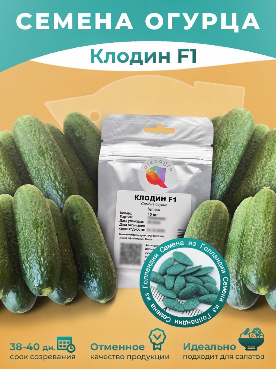 Клодин F1 семена огурцов самоопыляемых 10 семян. Высокоурожайный гибрид для открытого грунта и теплиц (Seminis / ALEXAGRO)