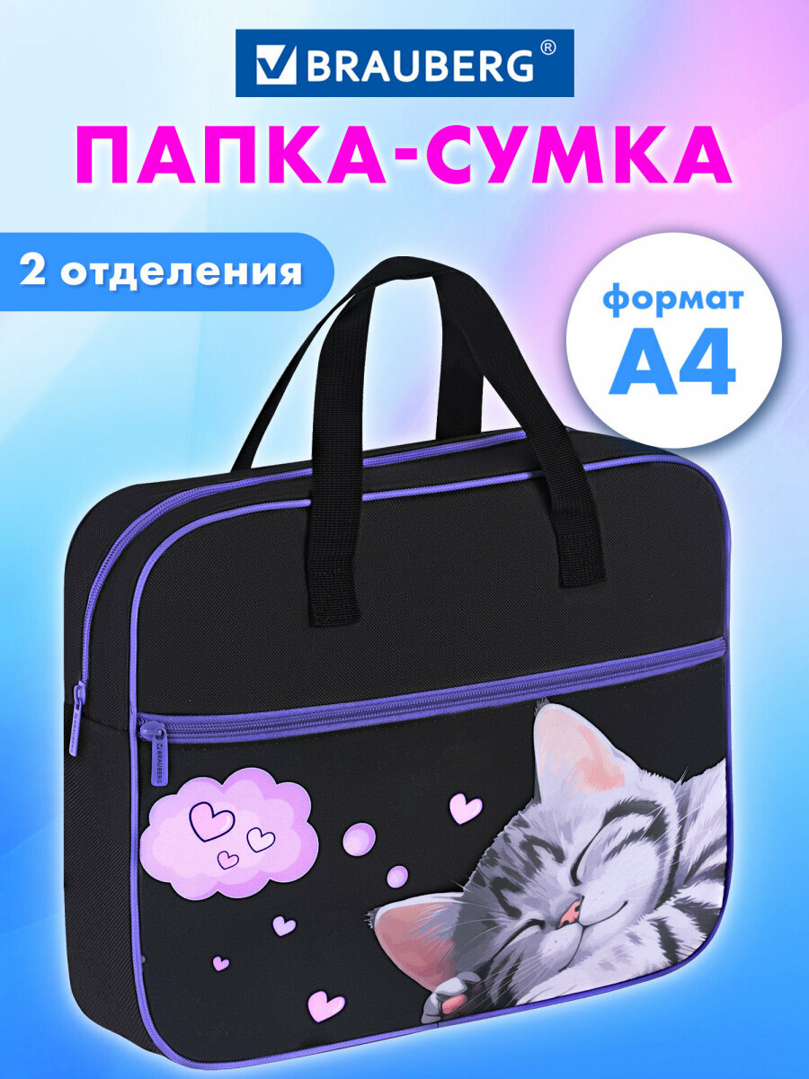 Папка сумка для тетрадей, труда, рисования и изо А4 для девочки на молнии с ручками, канцелярия для школы, 1 отделение и карман, Brauberg, 273309