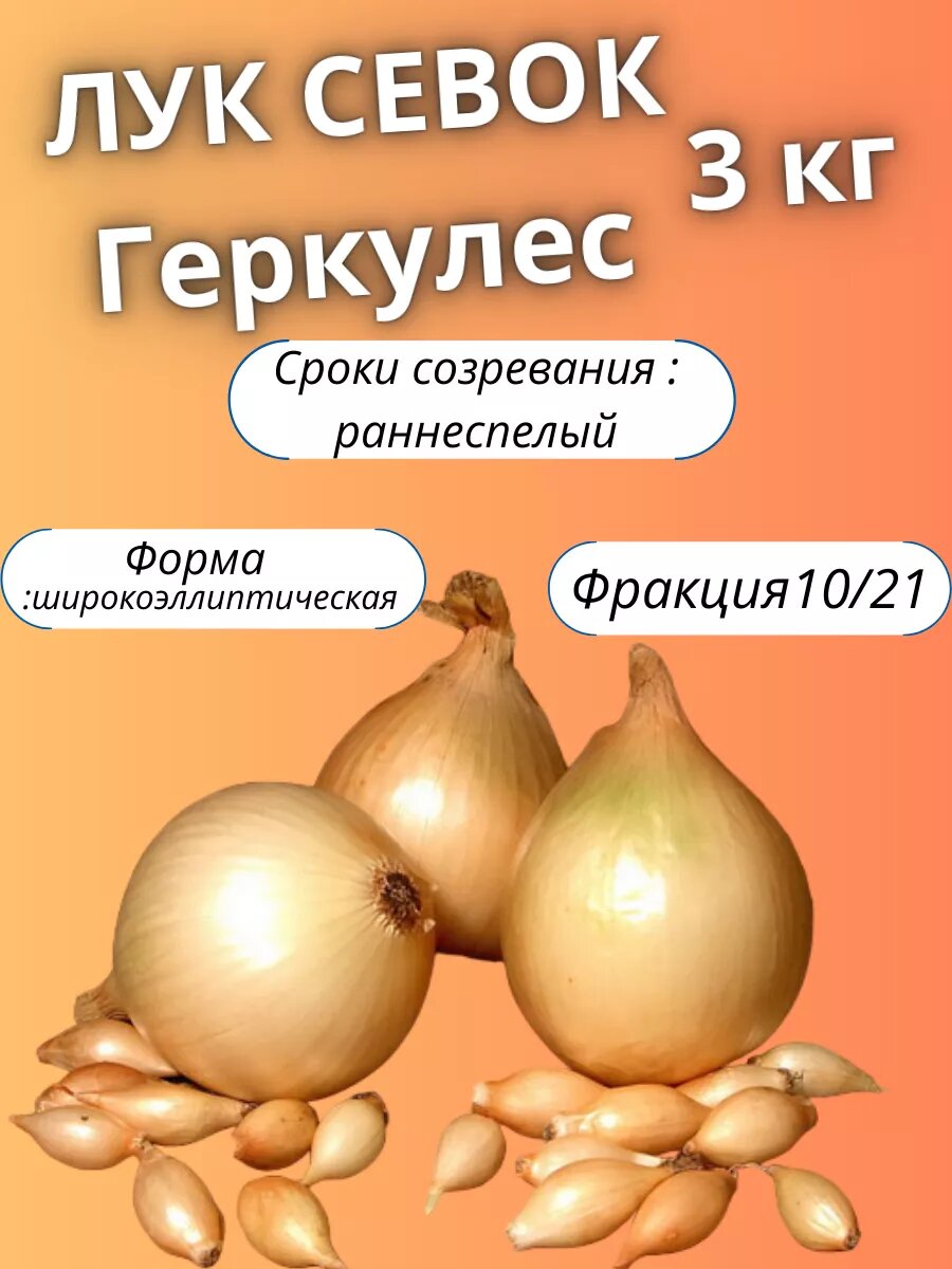 Лук севок Геркулес 3кг