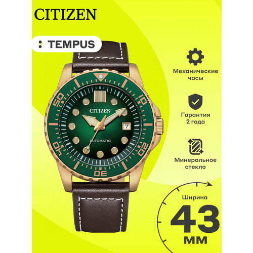 Citizen 102008060979