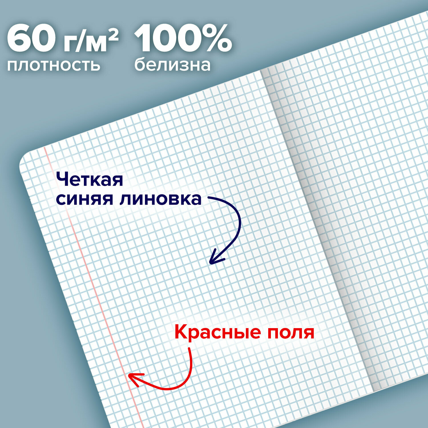 Тетрадь А5 в клетку 48 листов для записей в школу и офис, набор 5 штук, скоба, "Vintage", обложка SoftTouch, Brauberg, 404909 — фото 1